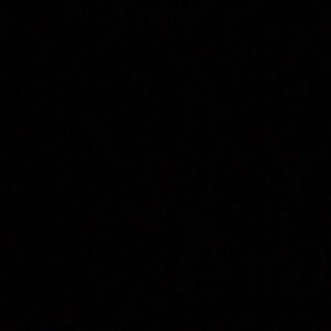 Meet your Posher, Leland